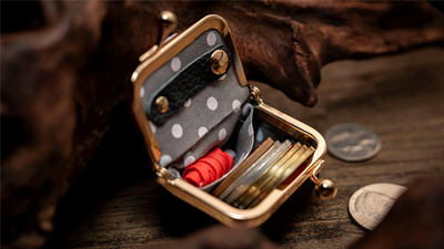 Coin Bag