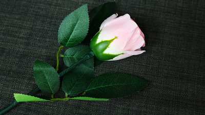 Rose Light set RED by JL Magic - Trick product video — 52Kards
