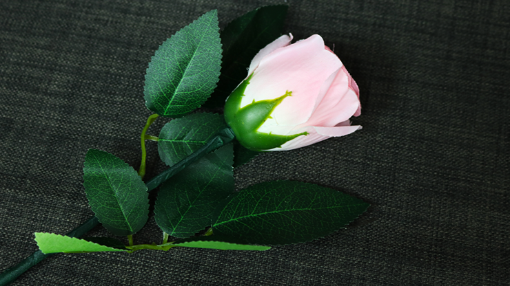 Rose Light set RED by JL Magic - Trick product video — 52Kards