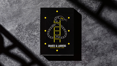Snakes and Ladders video