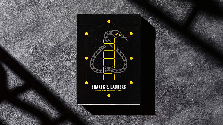 Snakes and Ladders video
