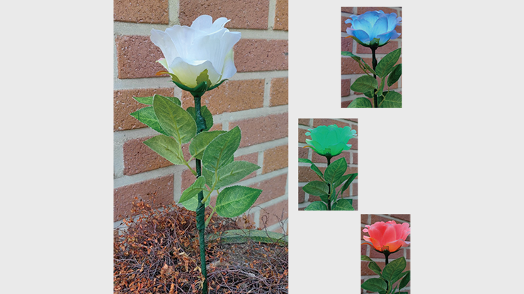 Remote Light Rose Multi-color (Charger Included) by JL Magic - Trick product video — 52Kards