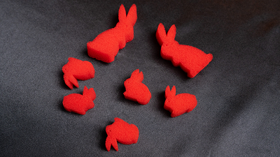 Multiplying Rabbits product video — 52Kards