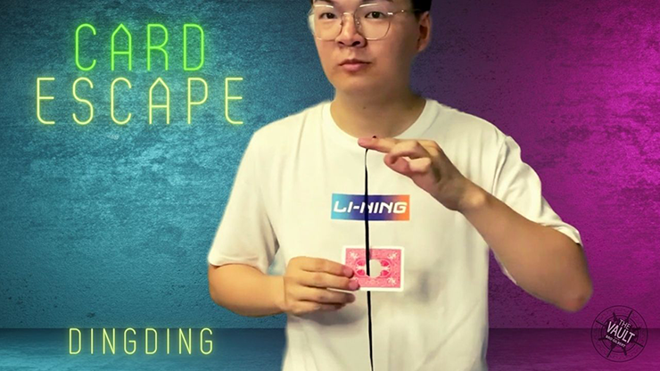 The Vault - Card Escape by Dingding video DOWNLOAD product video — 52Kards