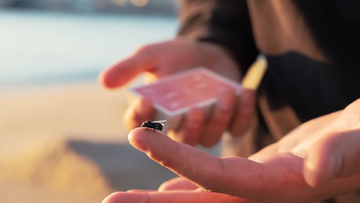 The Fly Lite product video — 52Kards