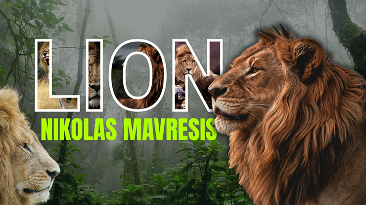 Lion by Nikolas Mavresis video DOWNLOAD product video — 52Kards