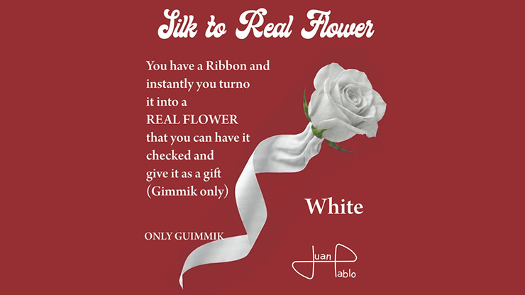 MM Connect Murphy 80414: Silk to Real Flower video