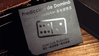 Dominoes Prediction product video