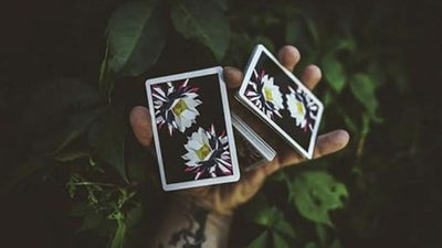Carpe Noctem product video — 52Kards