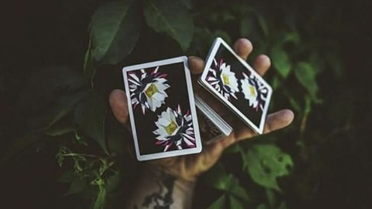 Carpe Noctem product video — 52Kards