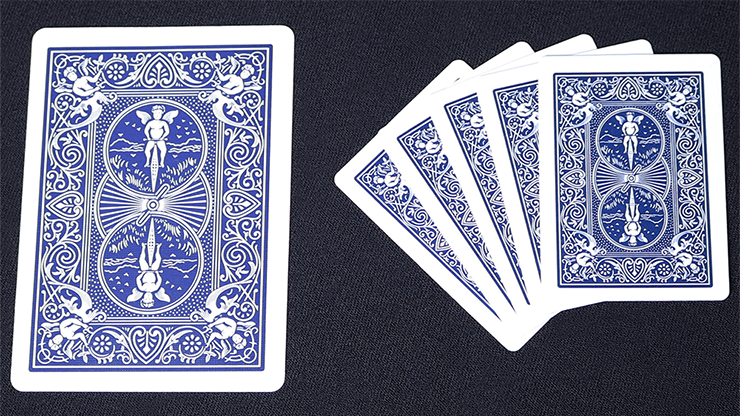 Mini Bicycle Cards