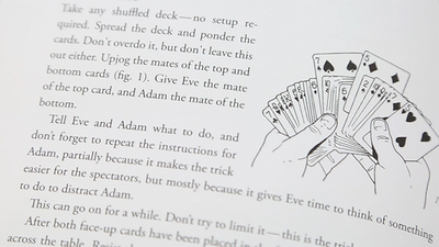 Scripting Magic Volume 1 - Playing Cards and Magic Tricks - 52Kards