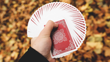 Oriental - Playing Cards and Magic Tricks - 52Kards