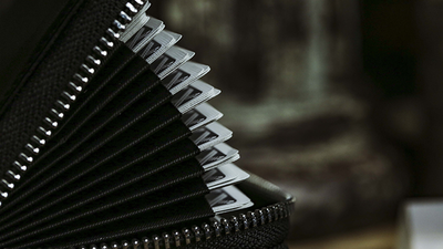 Accordion-style multi-function bag