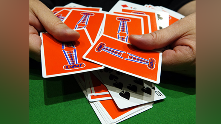 CIB: Jerry's Nuggets Cards In Bag