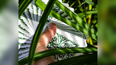 Leaves