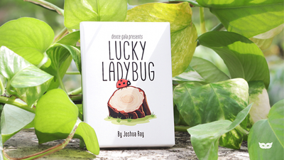 Lucky Ladybug (Gimmicks and Online Instructions) by by Joshua Ray & Deuce Gala Magic