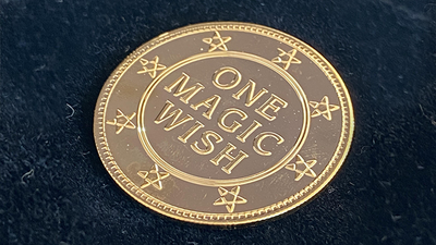 Magic Wishing Coins Gold (12 Coins) by Alan Wong - Trick