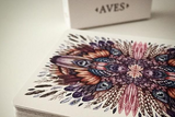 Aves - Playing Cards and Magic Tricks - 52Kards